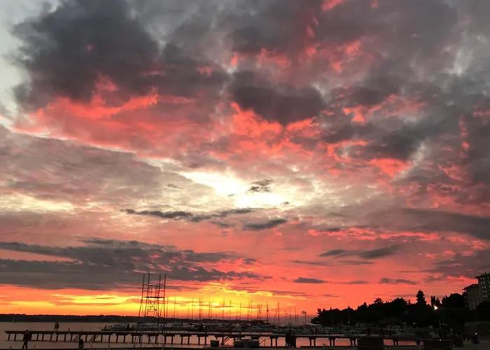 Semelbauer 波尔托罗